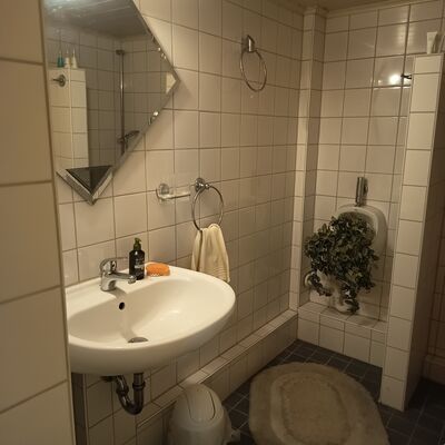 Badezimmer 2 - Dusche ebenerdig