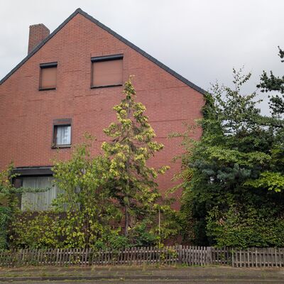 Ansicht Straße / Seite