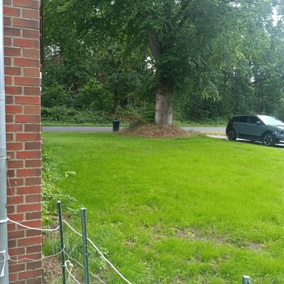 *links* Garten