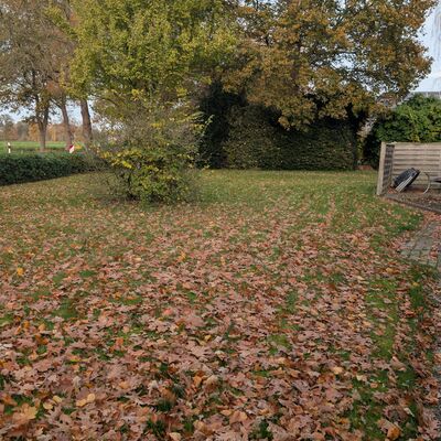 Garten vorm Haus 