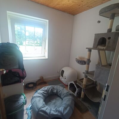 *links* Büro
