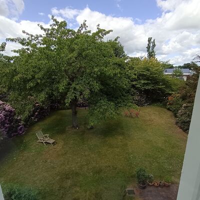 Ausblick in den Garten