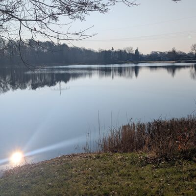 Blick auf den See